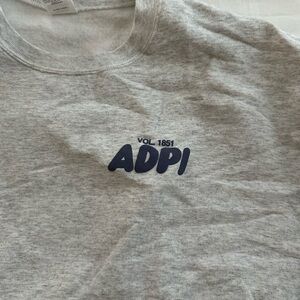 Adpi Gray Sweatshirt